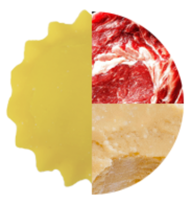 Immagine di ANOLINI