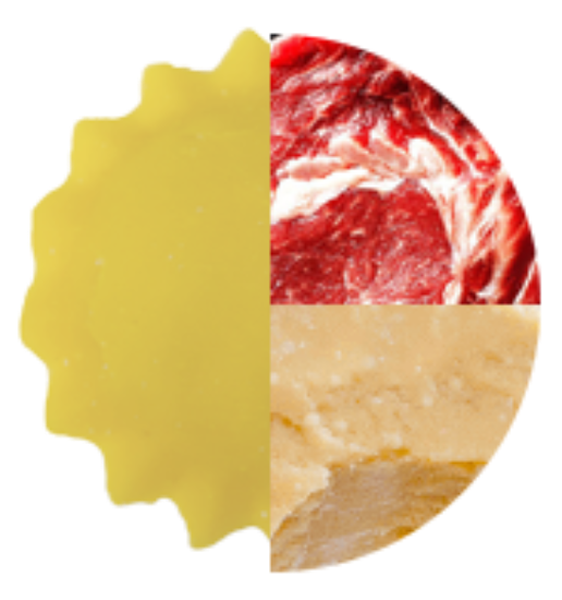 Immagine di ANOLINI