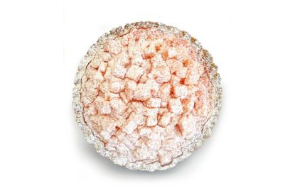 Immagine di MIMOSA ROSA